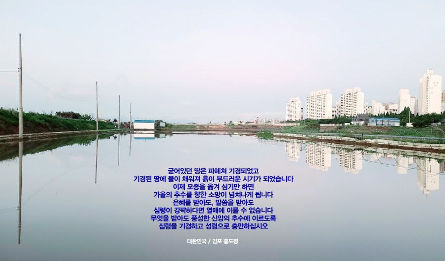 759e43995d072d641f117fcee4ad7dd7_1621461528_9443.jpg
