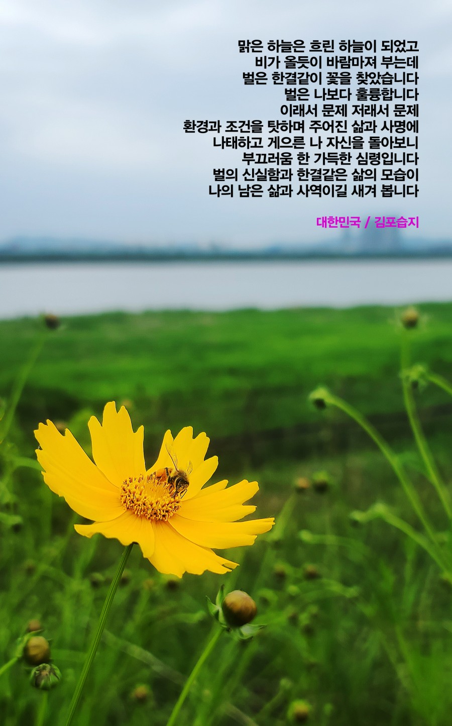 c0d3b67208c5ef1a7ab619d8dab3cdbf_1621806779_3713.jpg