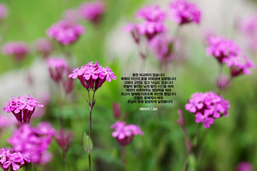 b93d2eef92b74c95266e5c4bc84d540e_1623362782_5833.jpg