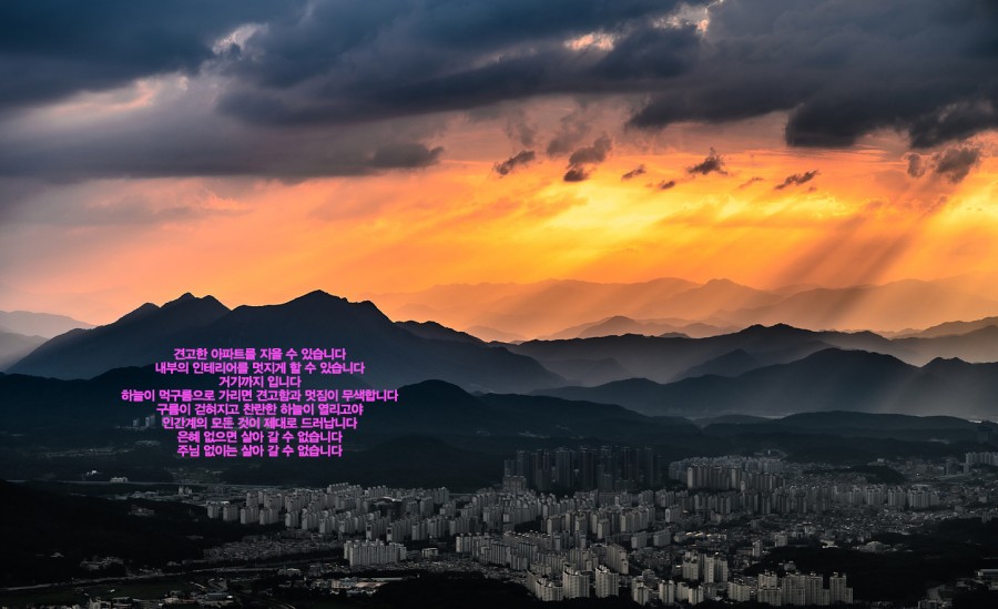 509c1163f40494b71a8f27489c50fafd_1629672520_2405.jpg