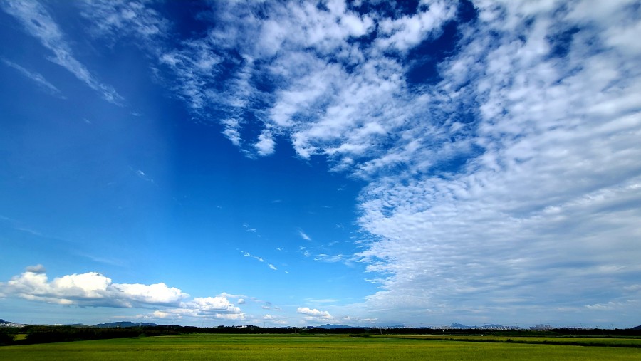 5d90aaa0ecf5d7f66260a73d80d208f8_1632692698_2139.jpg