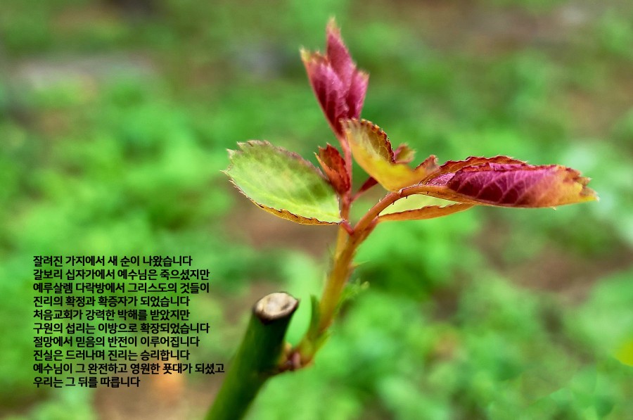 7543db4caffd5d51023e0eb22c4b75e9_1637532430_9474.jpg