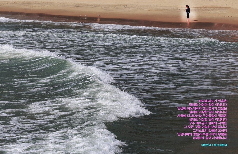 ef7adadcb7892134fc906d1dbd321abd_1636927176_5175.jpg