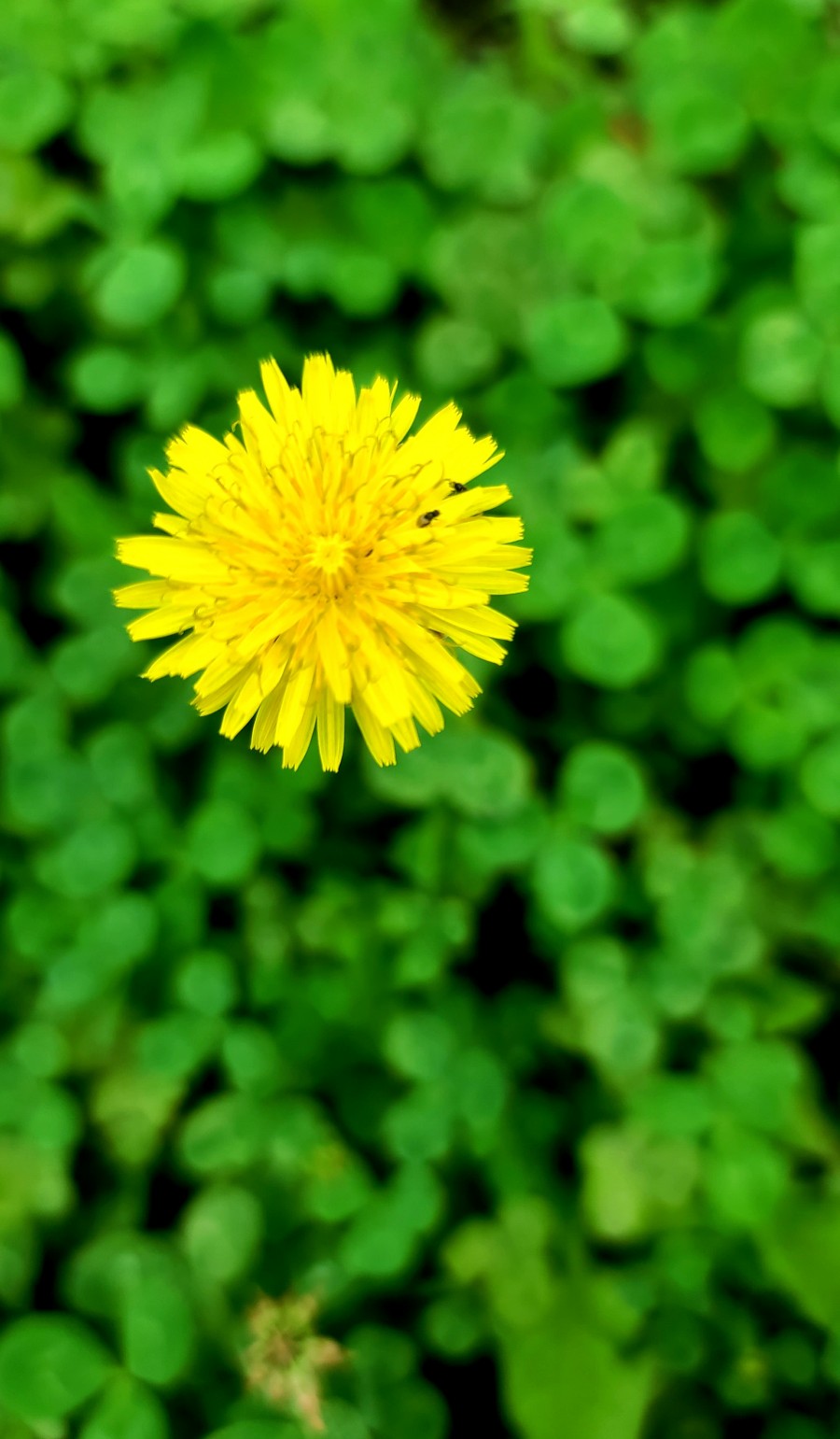 b8cc63535386eb63aea7b1877d92c73e_1642805536_1471.jpg