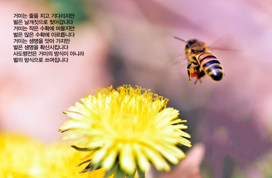 c5083e33fb5b210187a764e68f745990_1643234302_1495.jpg